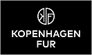 Kjpengagen